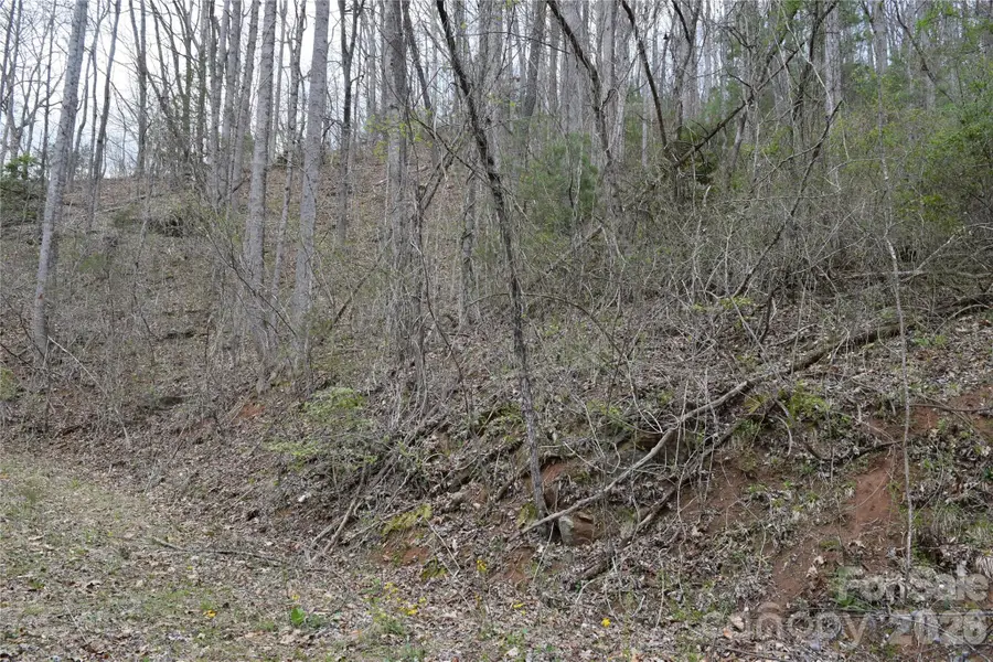 TBD Bel Air Road #20, Cullowhee, NC 28723 - #2