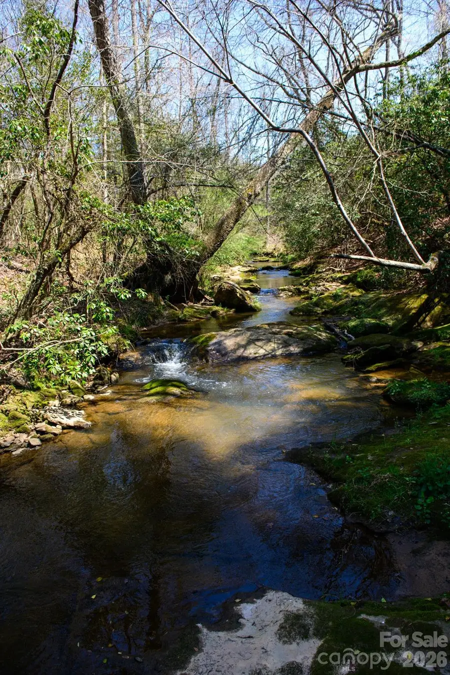 0000 Jimmy Fox Lane, Taylorsville, NC 28681 - #3