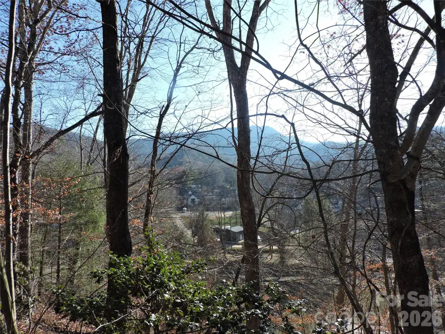 10 Whitman Lane #41, Black Mountain, NC 28711 - #3