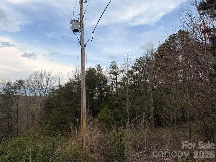 7557 Cowtail Lane, Connelly Springs, NC 28612 - #2