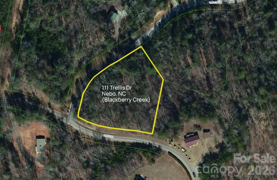 Lot 111 Trellis Drive, Nebo, NC 28761 - #2