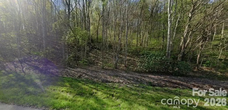 11176 Us 64 Highway E, Hayesville, NC 28904 - #2