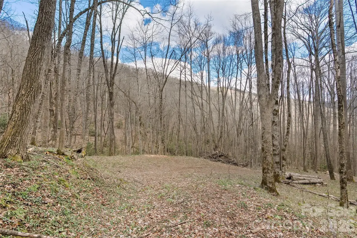 23 Forbidden Cove, Waynesville, NC 28785 - #1