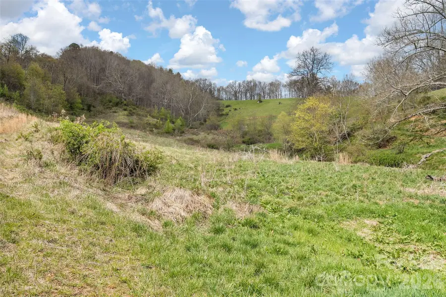 00 Inheritance Mountain Road, Waynesville, NC 28785 - #2