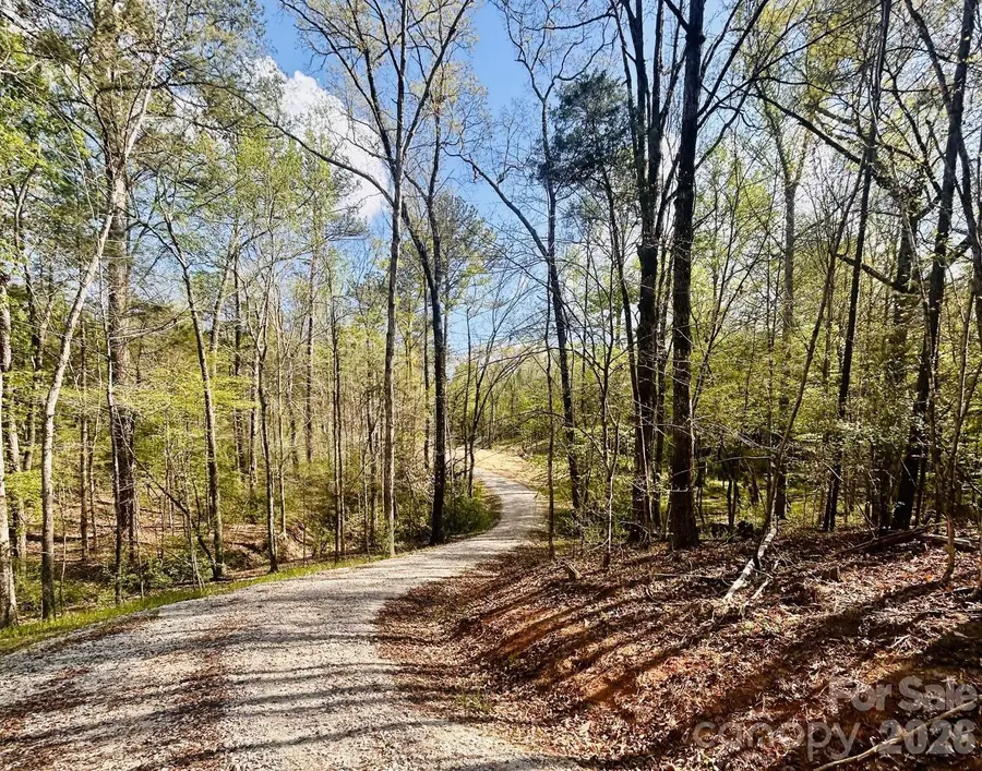 0 Peden Bridge Road, Chester, SC 29706 - #3