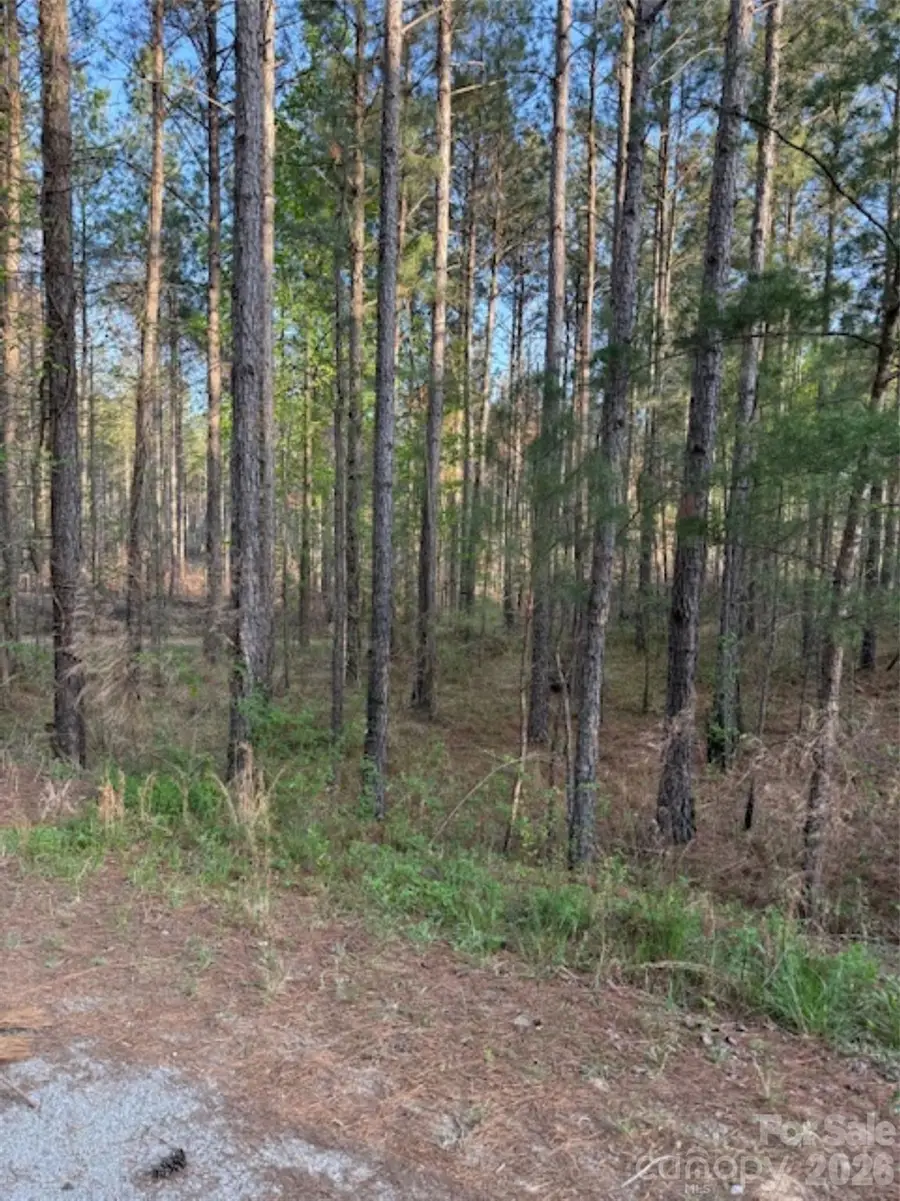 00 Clark Mountain Road, Lilesville, NC 28091 - #3