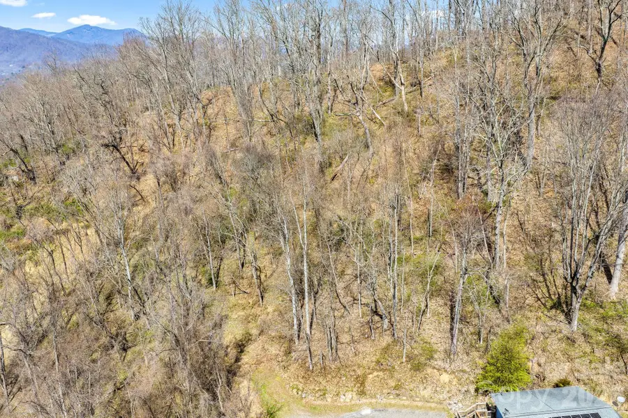 00 Panorama Drive #16, Waynesville, NC 28786 - #3