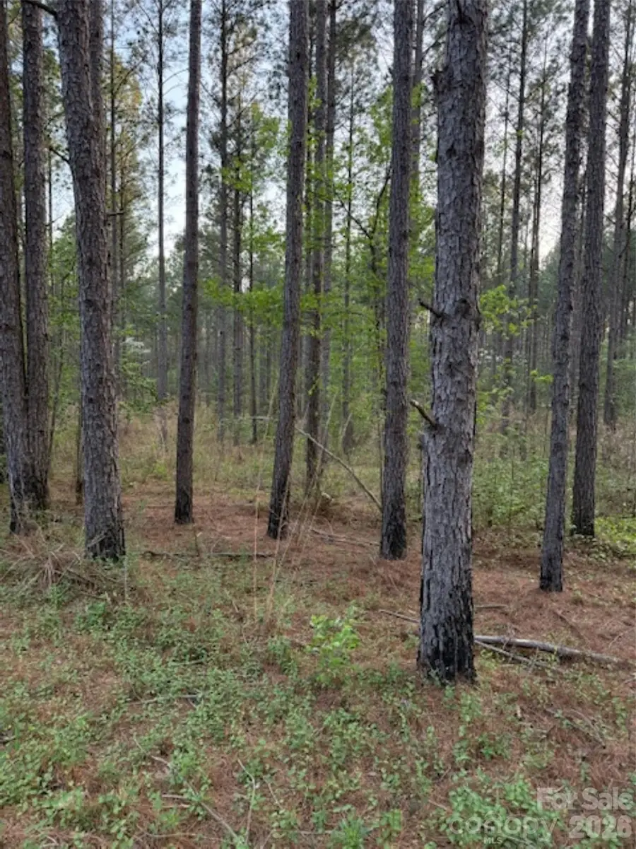 00 Spencer Pointe Road, Lilesville, NC 28091 - #3