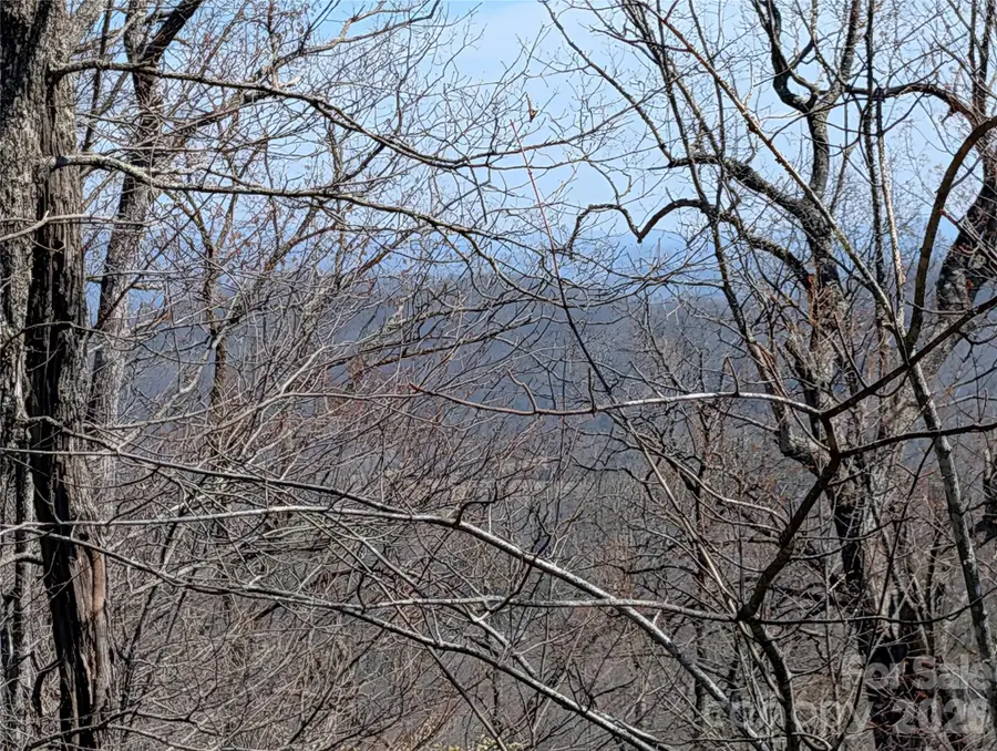 1094 Mills River Way, Horse Shoe, NC 28742 - #3