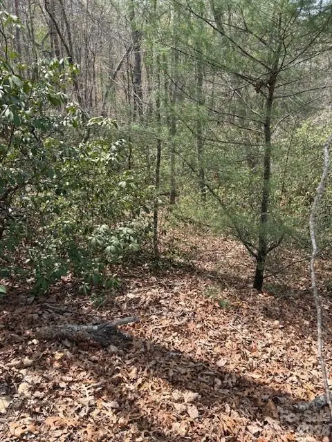 0 Poodles Way #291, Lake Lure, NC 28746 - #3