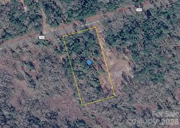 4233 Mount Misery Road Ne, Leland, NC 28451