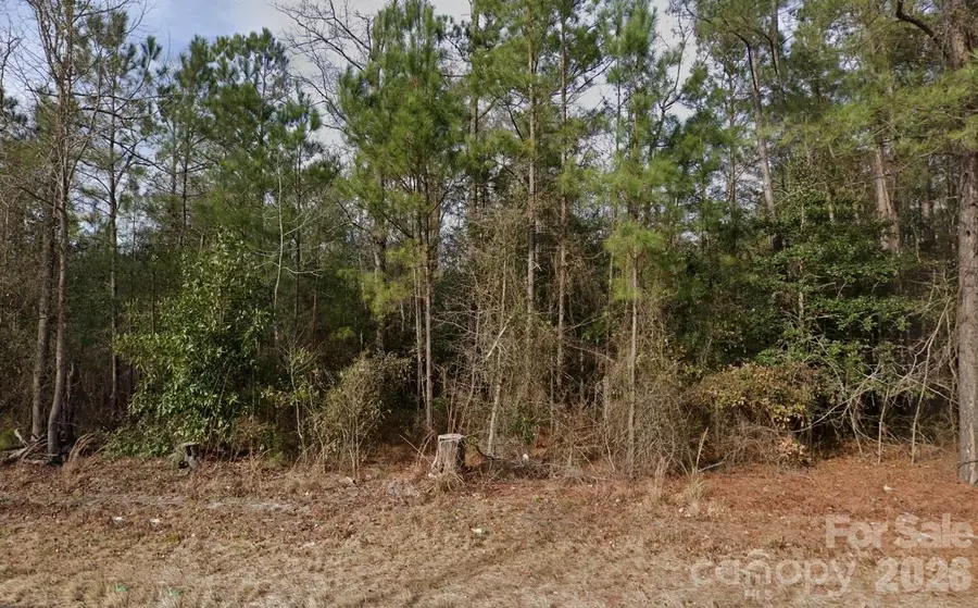 4233 Mount Misery Road Ne, Leland, NC 28451 - #2