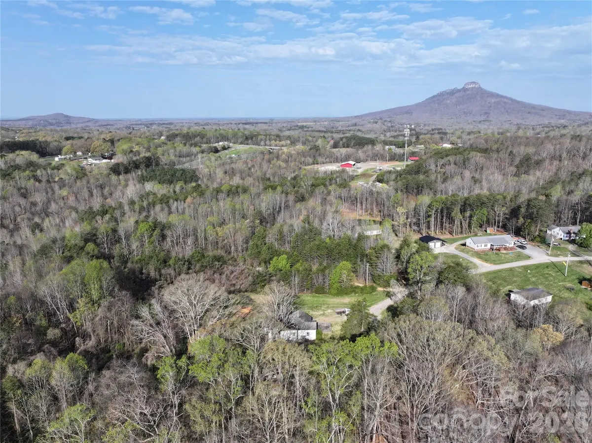 1164 Robert C Kellam Road, Pinnacle, NC 27043 - #1