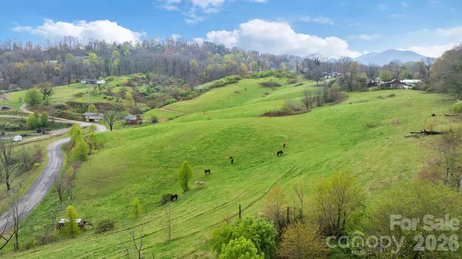 618 Beaverdam Street, Canton, NC 28716 - #3