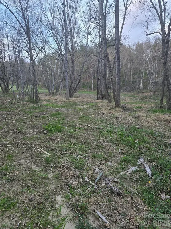 91 Miller Road, Fairview, NC 28730