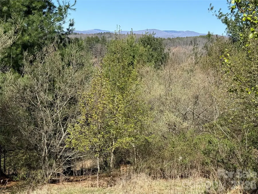 TBD (Lot 21 & 22) Martha Lane #21 & 22, Piney Creek, NC 28663 - #2