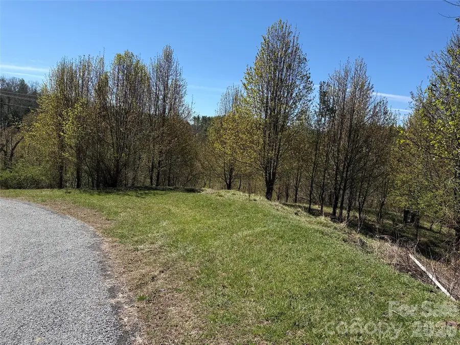 TBD (Lot 21 & 22) Martha Lane #21 & 22, Piney Creek, NC 28663 - #3