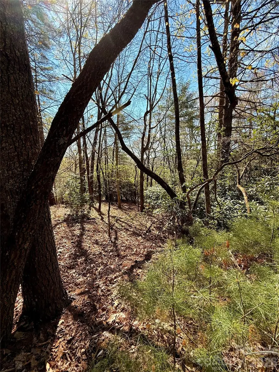 400 Emerald Hills Drive, Penrose, NC 28766 - #3