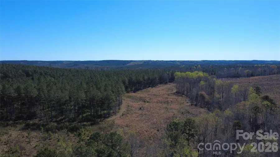 00 Peter Hawk Creek Road #10, Jonesville, SC 29353 - #3