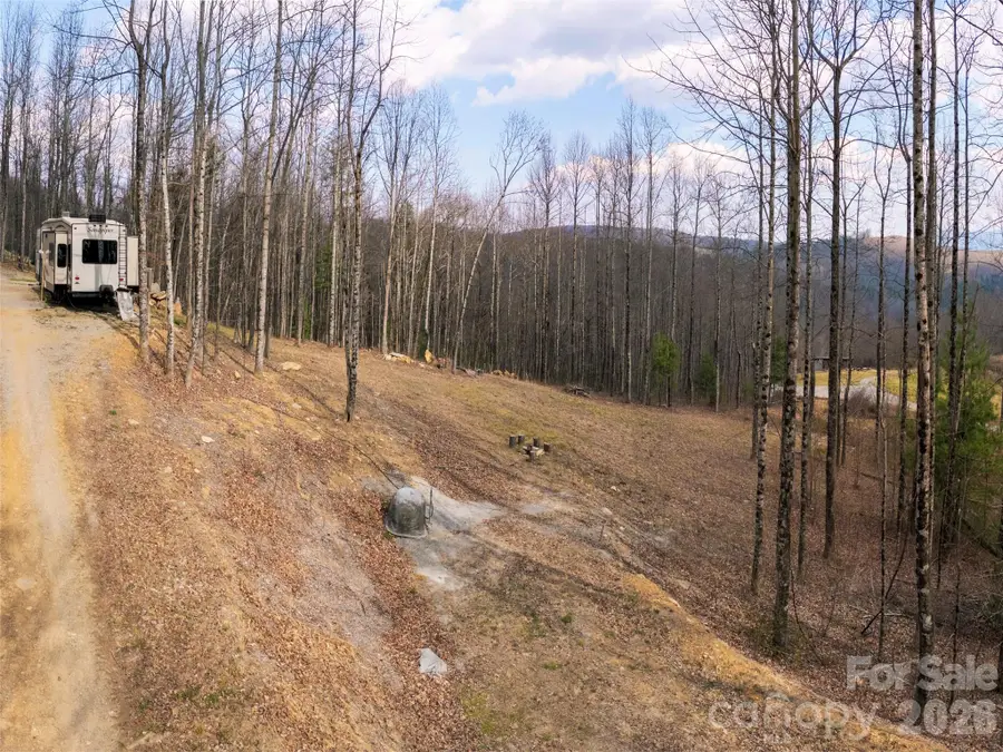 220 Simply Grateful Drive, Hendersonville, NC 28792 - #2