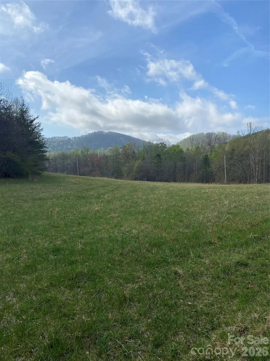 00 Cane Creek Mountain Road #1, Bostic, NC 28018 - #3