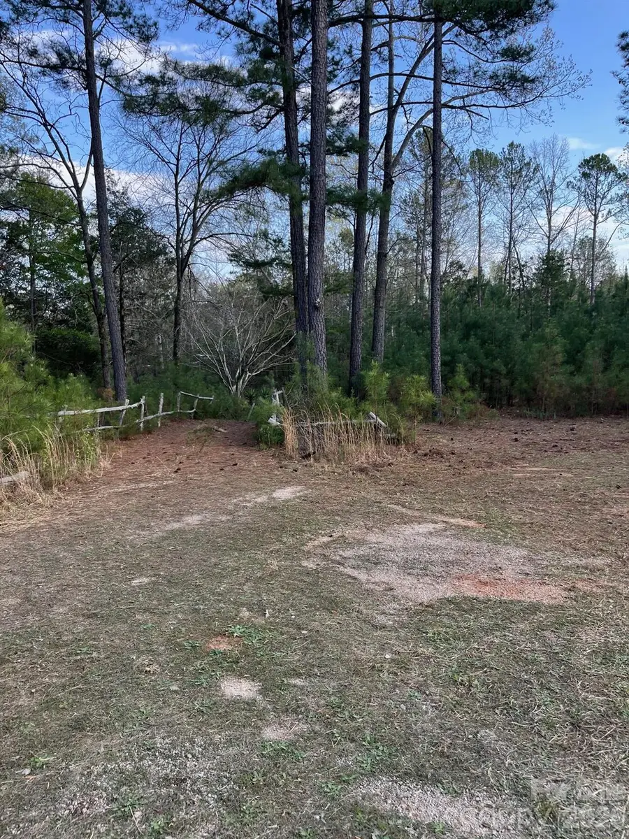 1264 Worthys Ferry Road, Chester, SC 29706 - #3