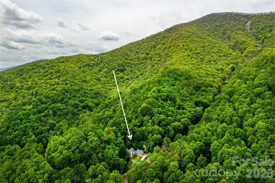 58 Great Aspen Way, Black Mountain, NC 28711 - #3