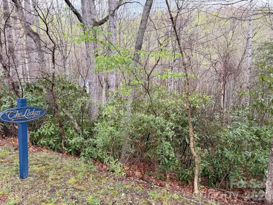 000 Ridgeview Drive, Hendersonville, NC 28791 - #2