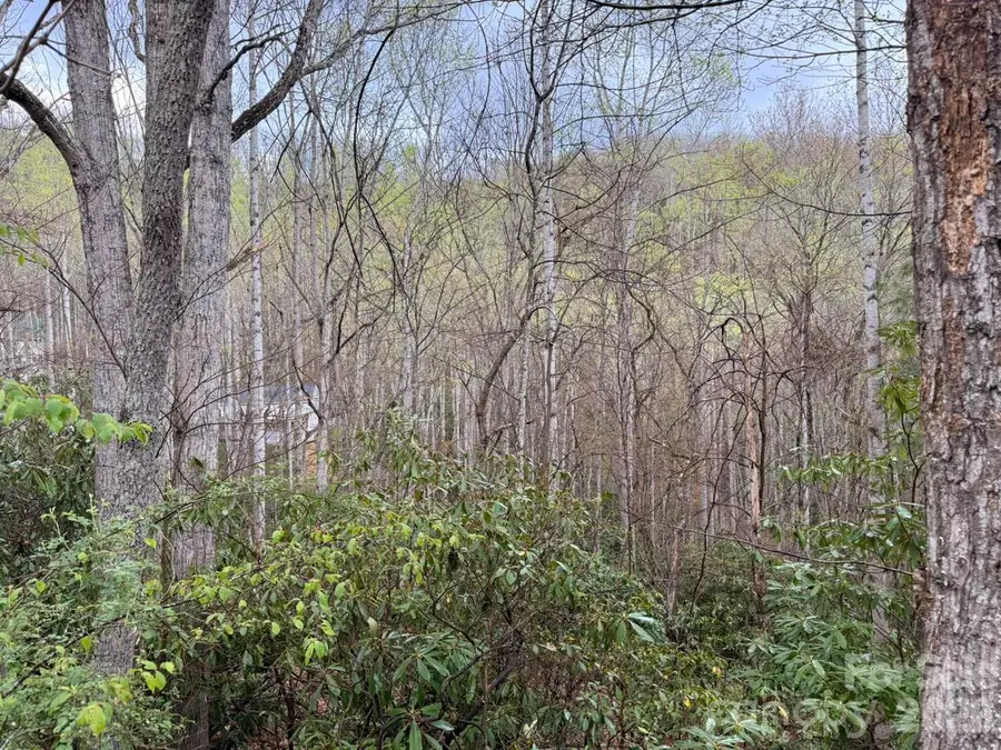 000 Ridgeview Drive, Hendersonville, NC 28791 - #3