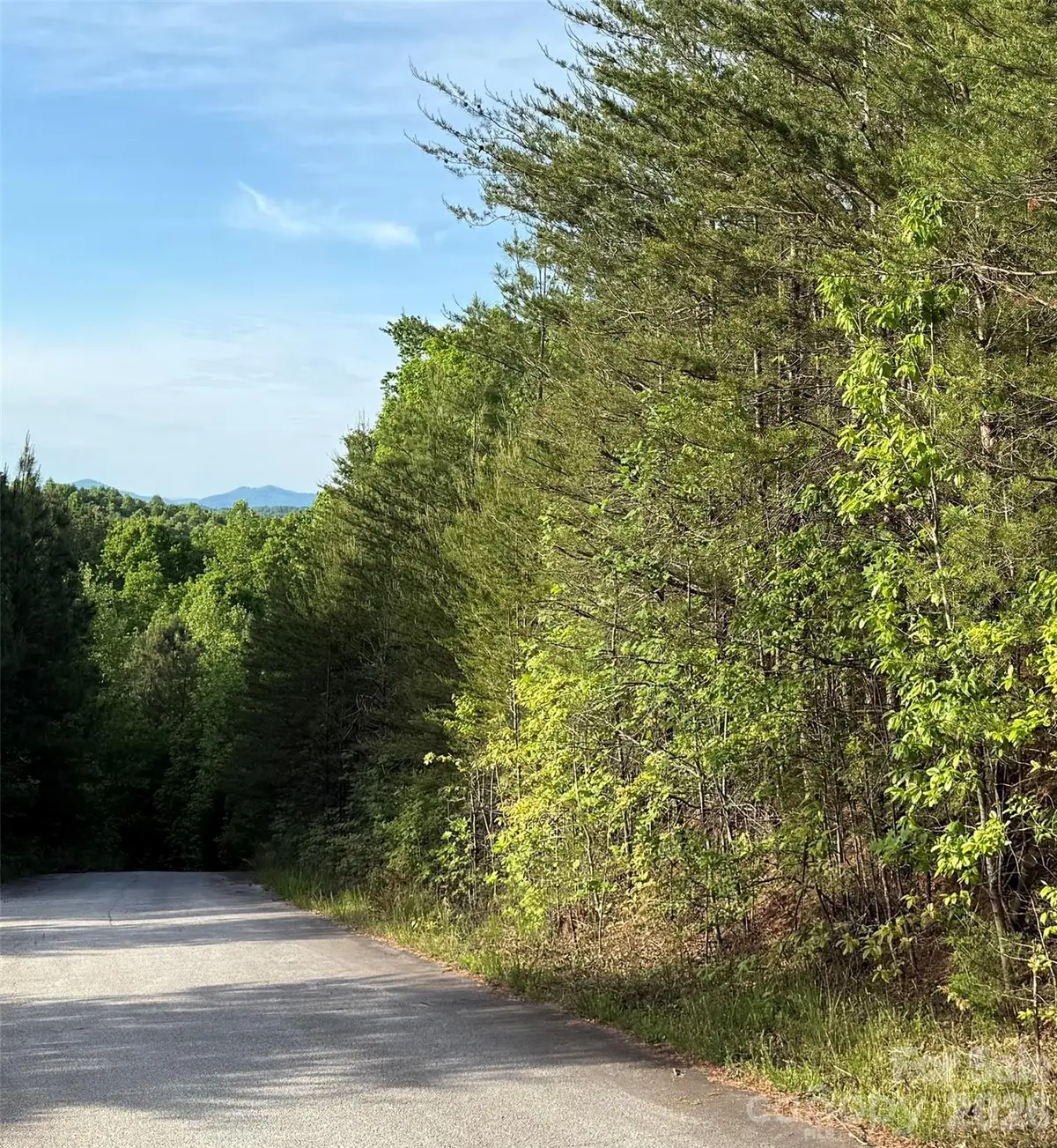0 Shenandoah Drive #3B, Spindale, NC 28160 - #1