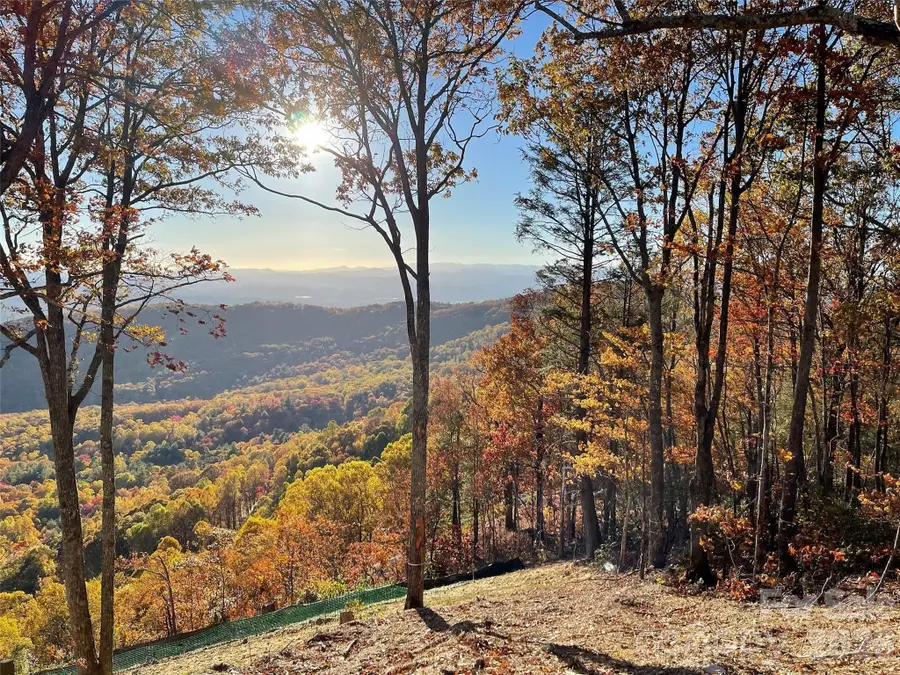 63 Summit Trail Drive #Lot 25, Hendersonville, NC 28792 - #2