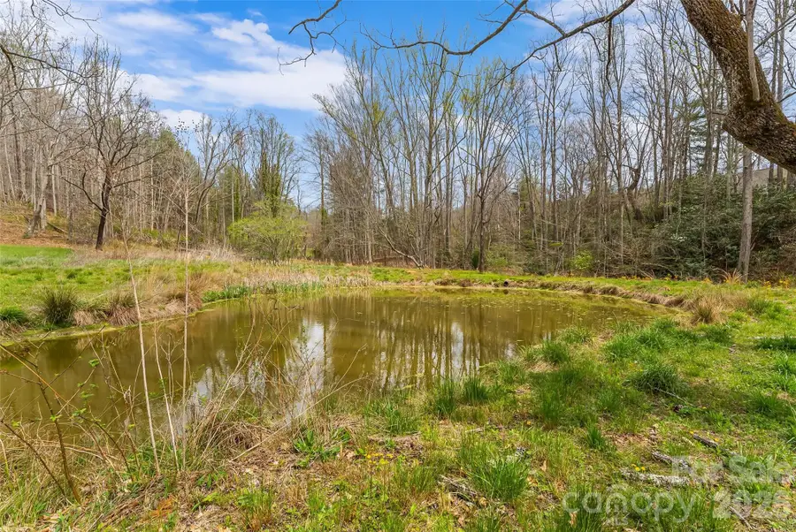 628 Brush Creek Road, Fairview, NC 28730 - #3