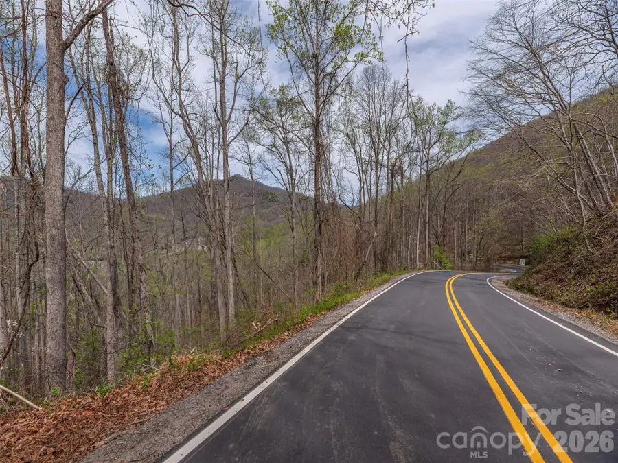 111 & 125 Cedar Mountain Road, Asheville, NC 28803 - #2