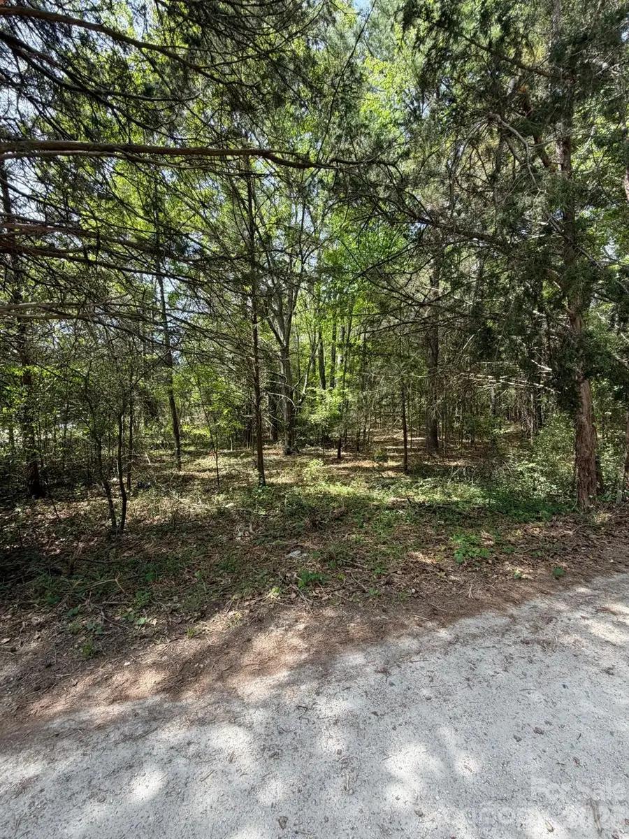 00 William Stevenson Road, Richburg, SC 29729 - #2