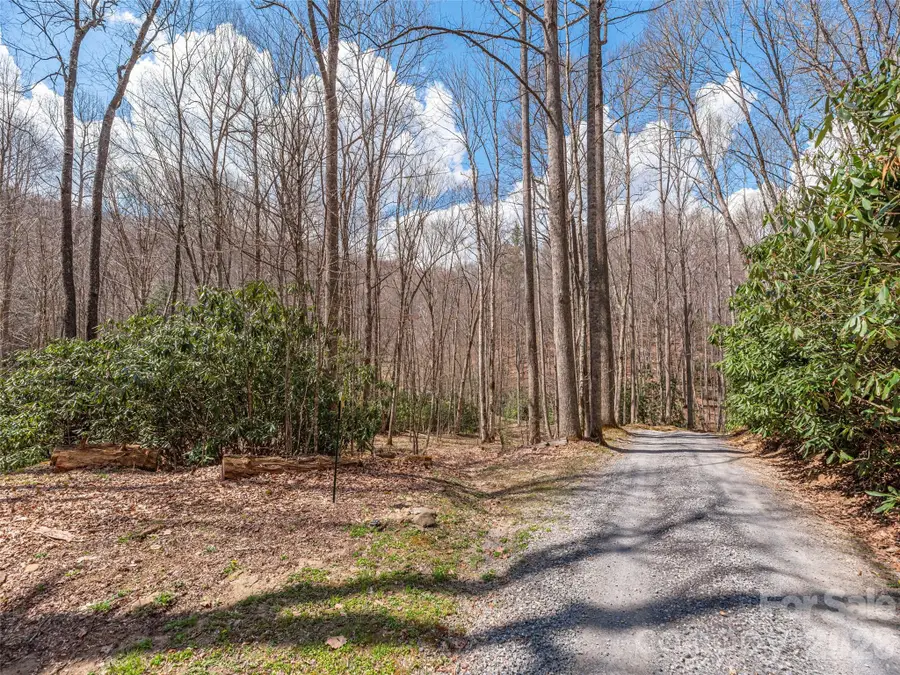 00 Norton Fork Road, Spring Creek, NC 28743 - #2