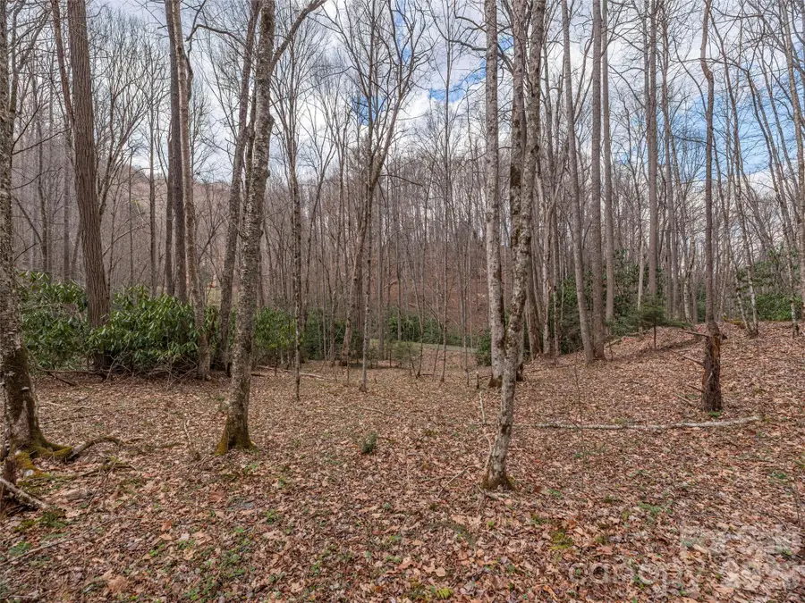 00 Norton Fork Road, Spring Creek, NC 28743 - #3