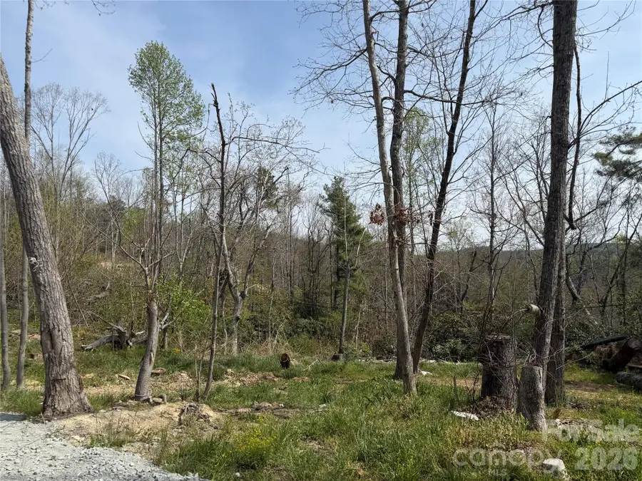 273 Mcmillan Drive, Hendersonville, NC 28792 - #3