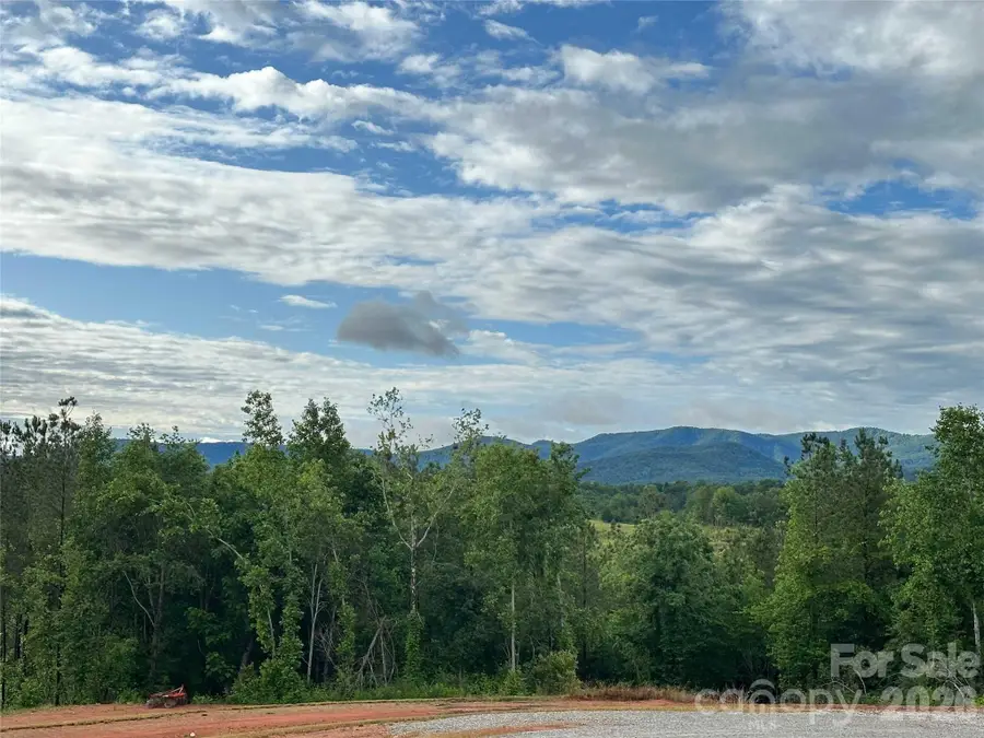 132 Howser Drive, Casar, NC 28020 - #2