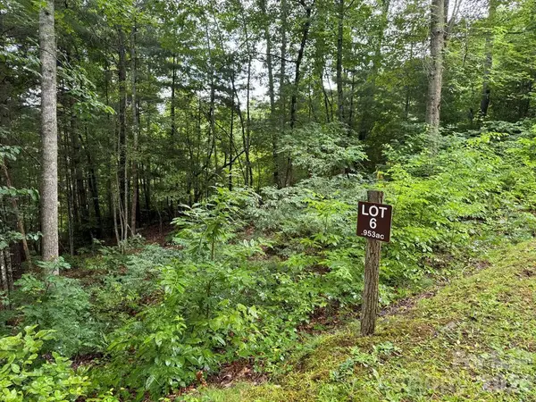 Lot 6 Garnet Road, Sylva, NC 28779