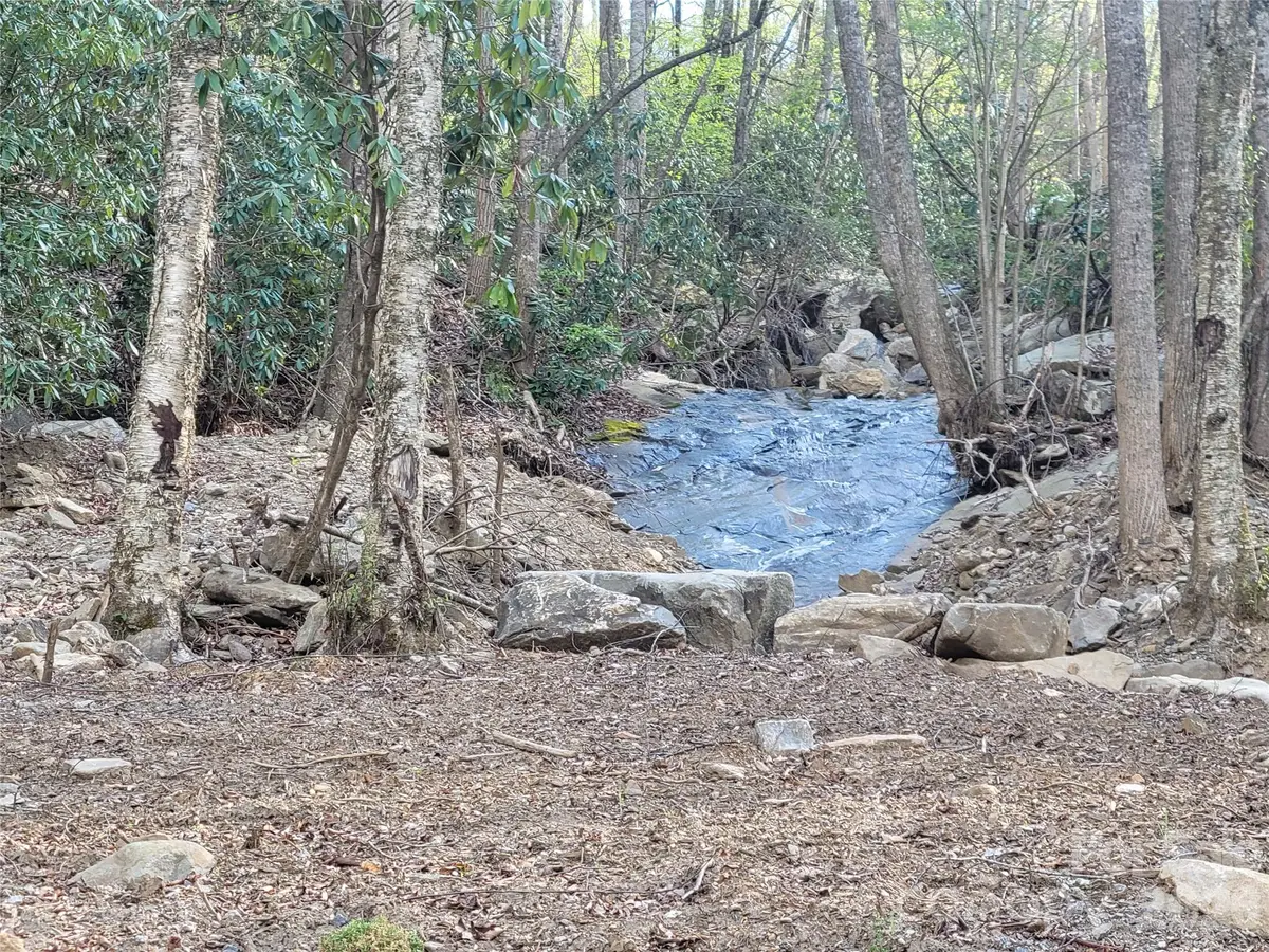 9999 Lytle Cove Road Road, Swannanoa, NC 28778 - #1