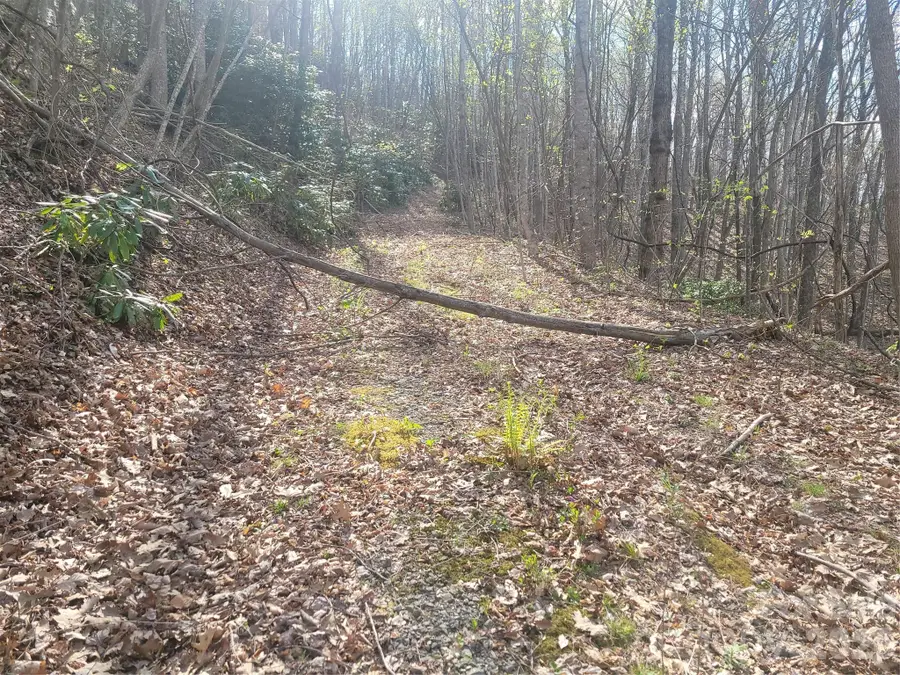 9999 Lytle Cove Road Road, Swannanoa, NC 28778 - #3