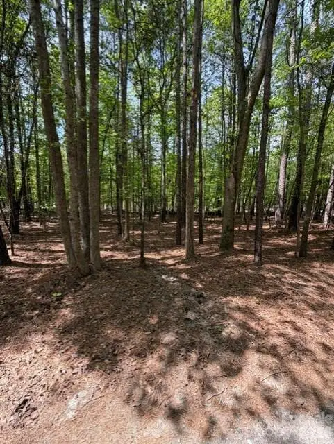 00 Truesdale Drive, Great Falls, SC 29055