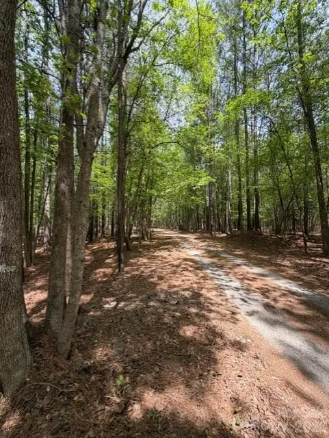 00 Truesdale Drive, Great Falls, SC 29055 - #2