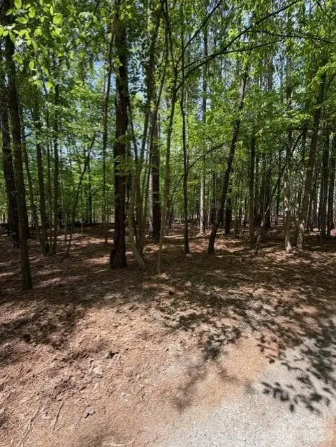 00 Truesdale Drive, Great Falls, SC 29055 - #3