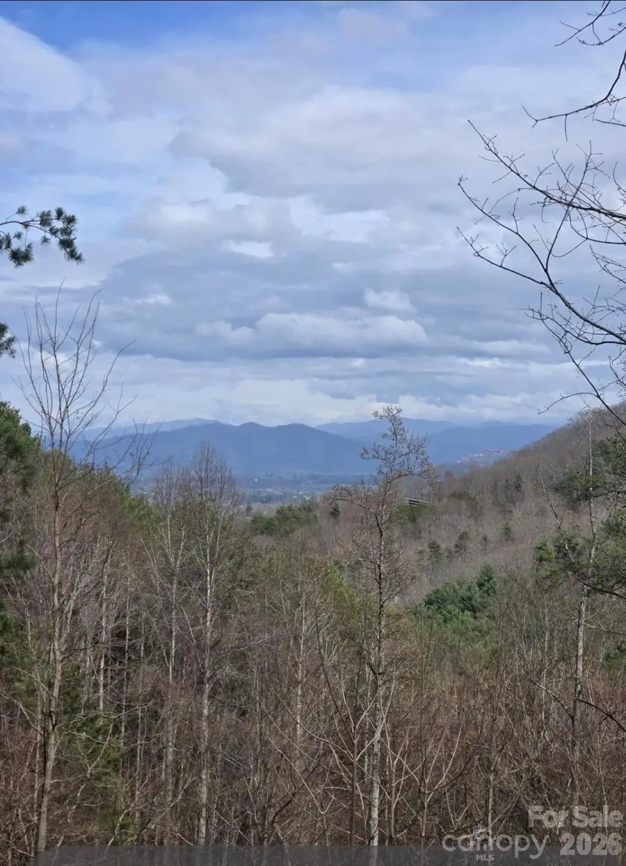 92 Mountain Magnolia Drive, Leicester, NC 28748 - #3