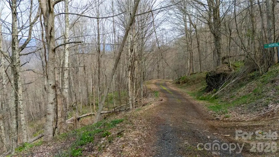 000 Tyler Lane, Bakersville, NC 28705 - #3