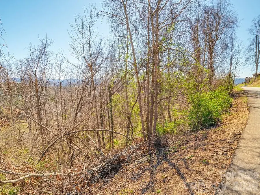 61 Ben Lippen School Road, Asheville, NC 28806 - #3