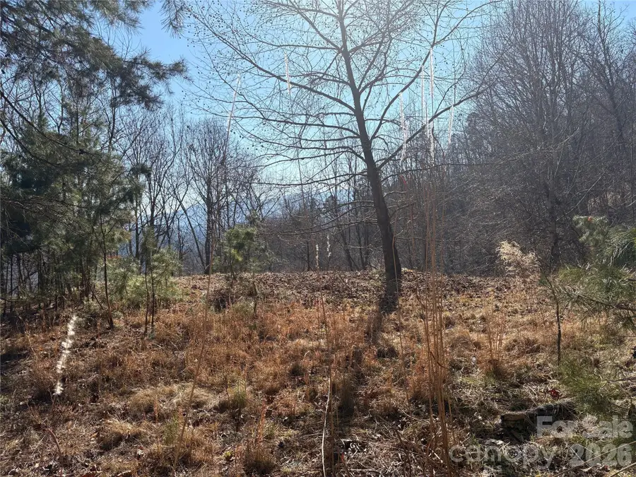 0 Brush Creek Road #37 & 41, Bryson City, NC 28713 - #2