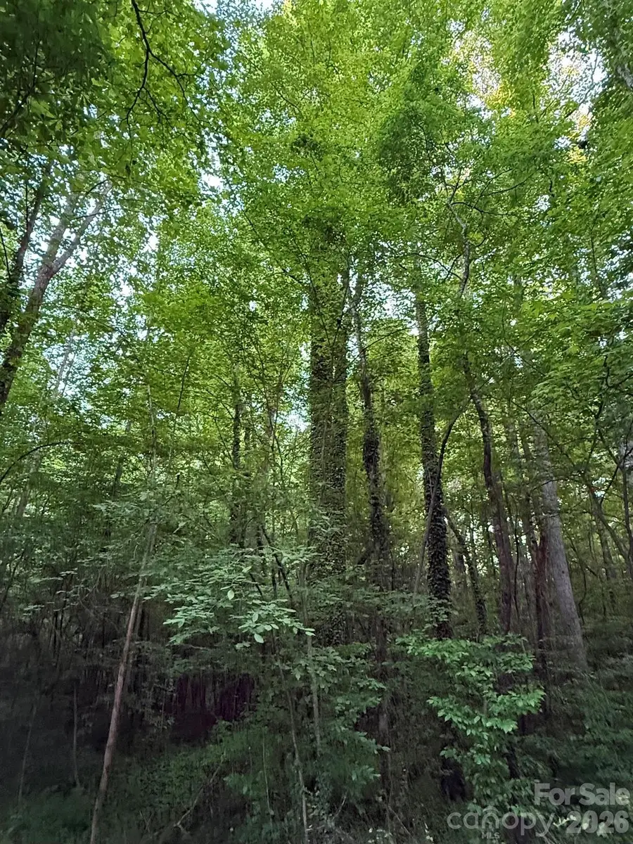 00 Winterhaven Road Road #4, Taylorsville, NC 28681 - #2