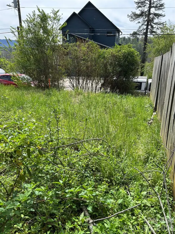 99999 Lamb Avenue #1, Asheville, NC 28806